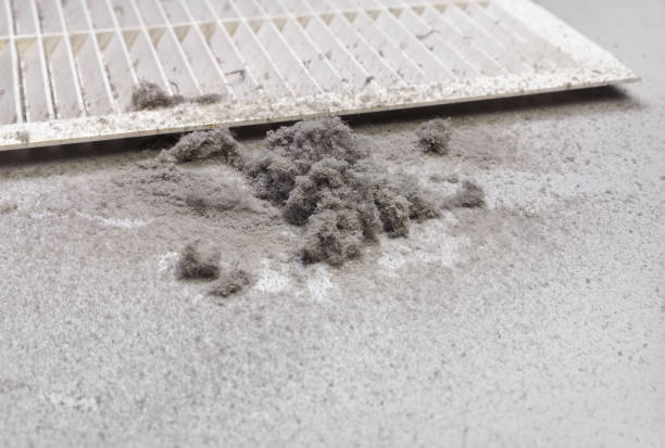 Best HVAC Duct Inspection Services  in Cabin John, MD